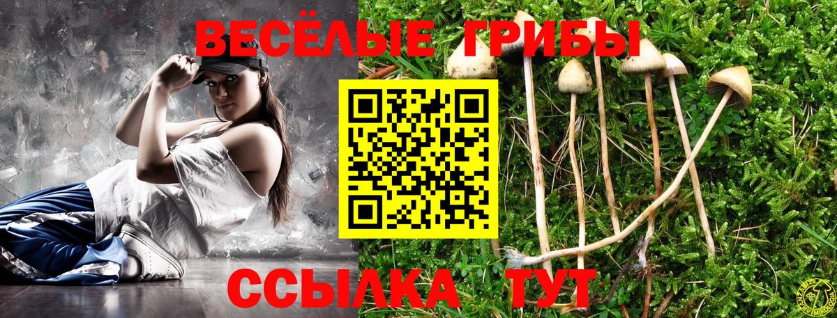 Галлюциногенные грибы мицелий  Вход с VPN  Дмитров  Псилоцибиновые грибы GOLDEN TEACHER 